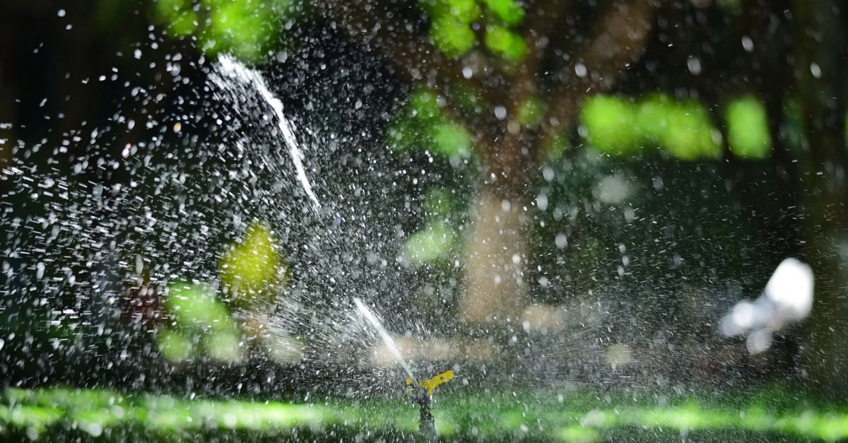 Irrigation Certification Florida: State or Local License?